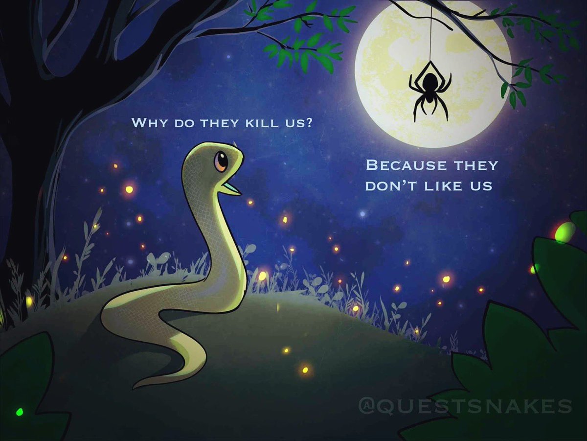 Quest Snakes tweet media