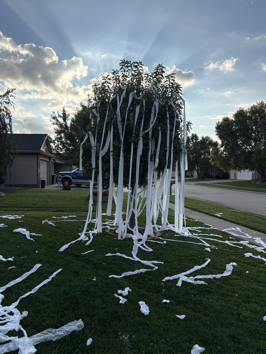 At least they did a quality job on the tree this year….. and a saran wrapped mailbox has kept my daughter busy for quite a while….