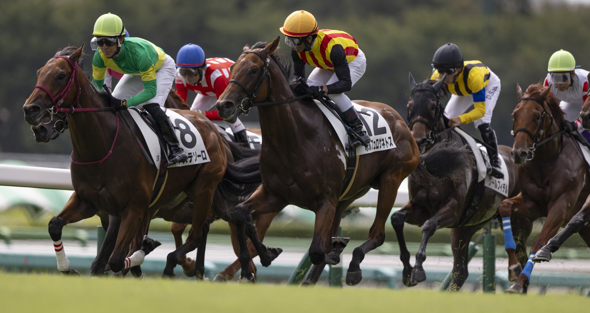 競馬 2025年 優駿牝馬 ケリフレッドアスク M.ディー騎手 兄弟に2018年