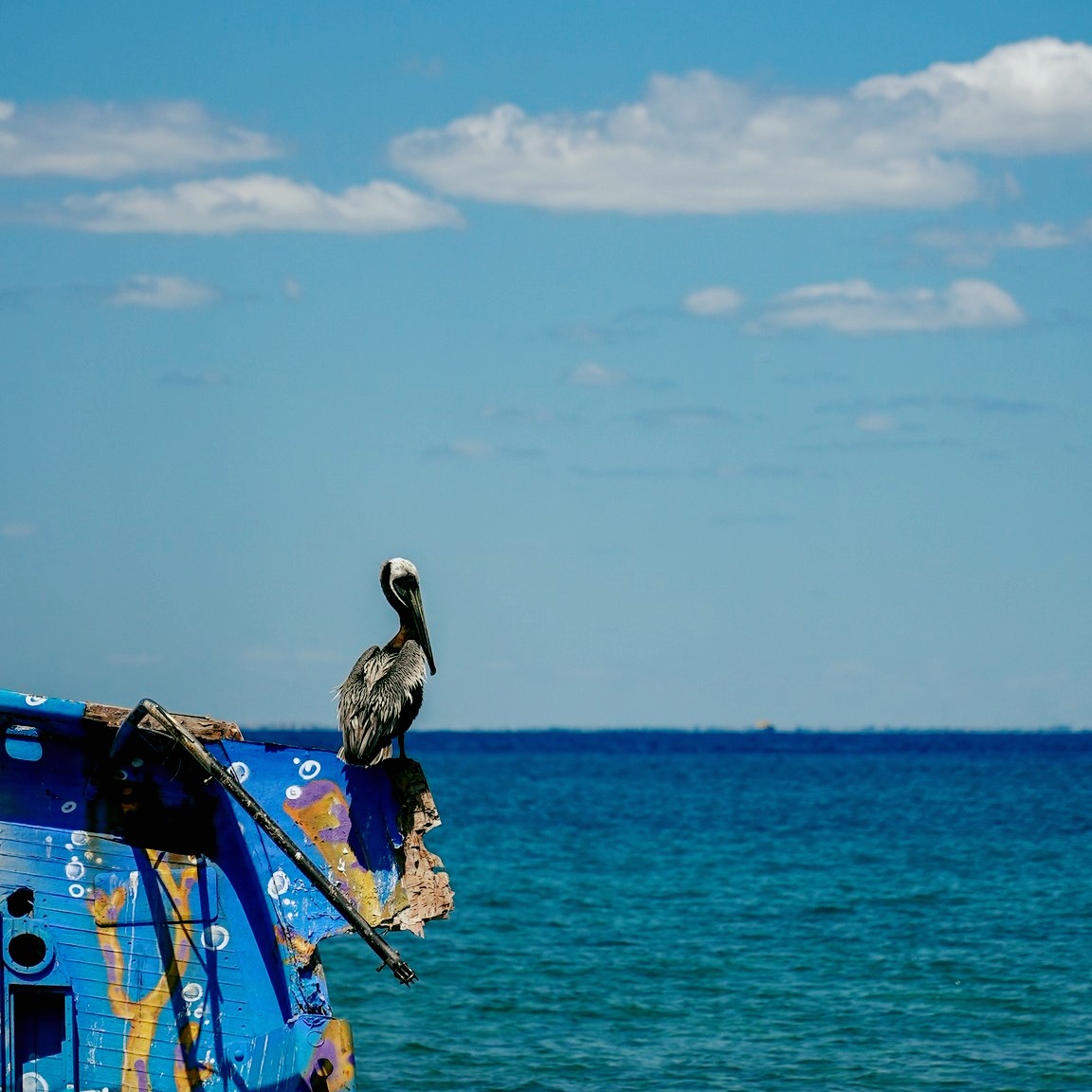 Ultramar Ferry 🚢 tweet media