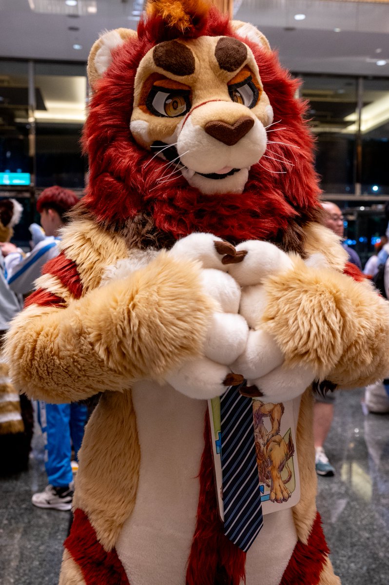 PaderLion_Fur's tweet image. 📷：@Turquobitbit
✂️：@BK_fursuit

#FursuitFriday