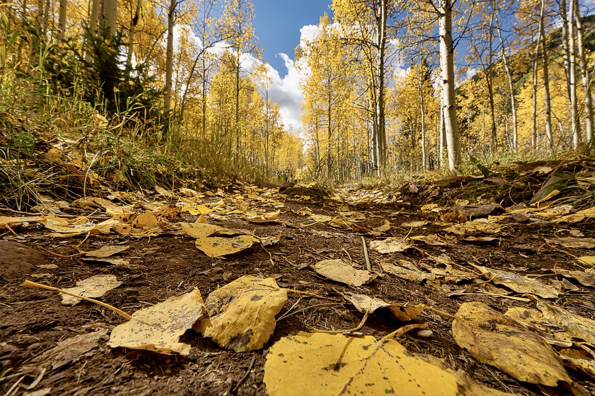 10 Fall Foliage Tips from Nikon Ambassador Deb Sandidge🍁
youtube.com/watch?v=H7O2eN…