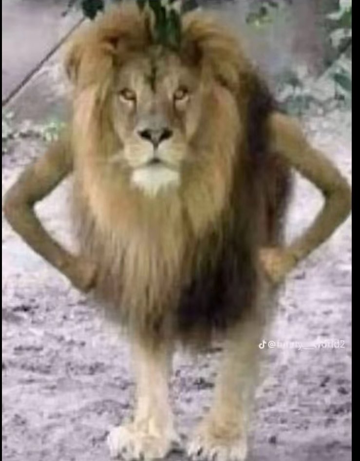 pas de tournoi parce que y a des gens qui sont obliger d’écrire en petit à la fin d’un règlement de 15 pages en anglais alors que c’est un tournoi FR
qu’il faut rejoindre un discord pour drop les papiers à croire le tournoi c’est la douane jvais tout casser <a href="/francetvslash/">francetvslash</a>