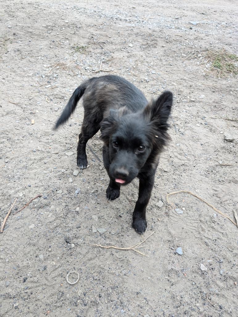 Tier_Kh's tweet image. Шановні, треба ваша допомога, бо від'їбнули паливні системи на корчах і треба ремонтувати. Майже половина вже є, сподіваюсь доберемо й решту, банка тут: send.monobank.ua/jar/2mUa77CKdh