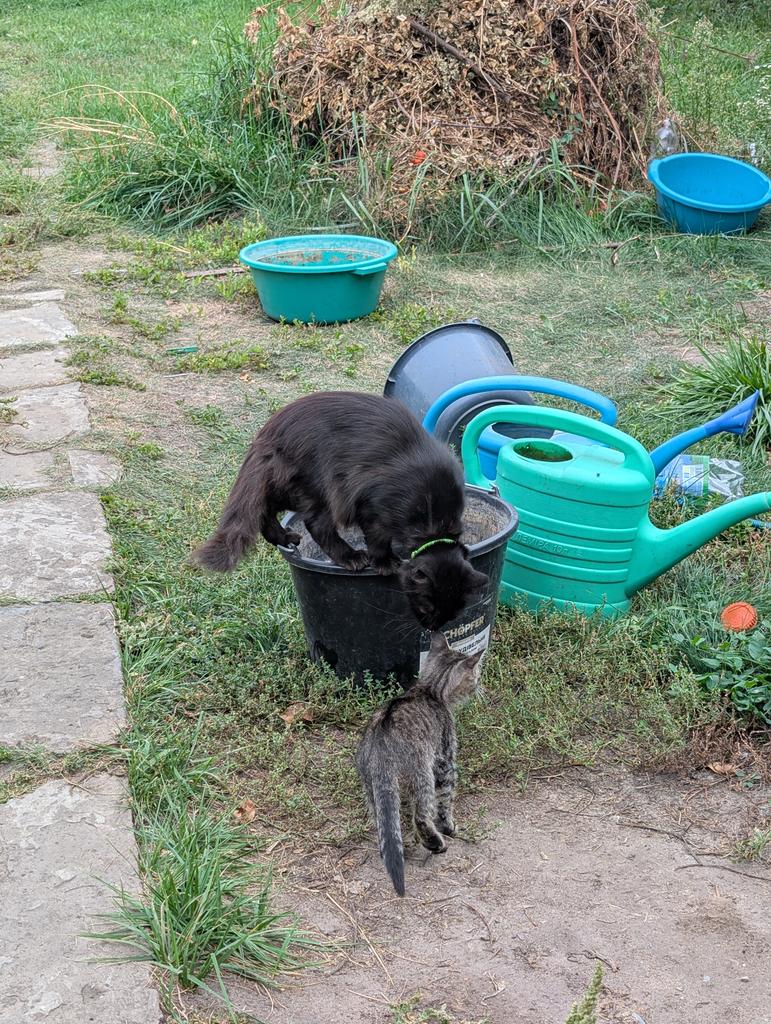 Tier_Kh's tweet image. Шановні, треба ваша допомога, бо від'їбнули паливні системи на корчах і треба ремонтувати. Майже половина вже є, сподіваюсь доберемо й решту, банка тут: send.monobank.ua/jar/2mUa77CKdh