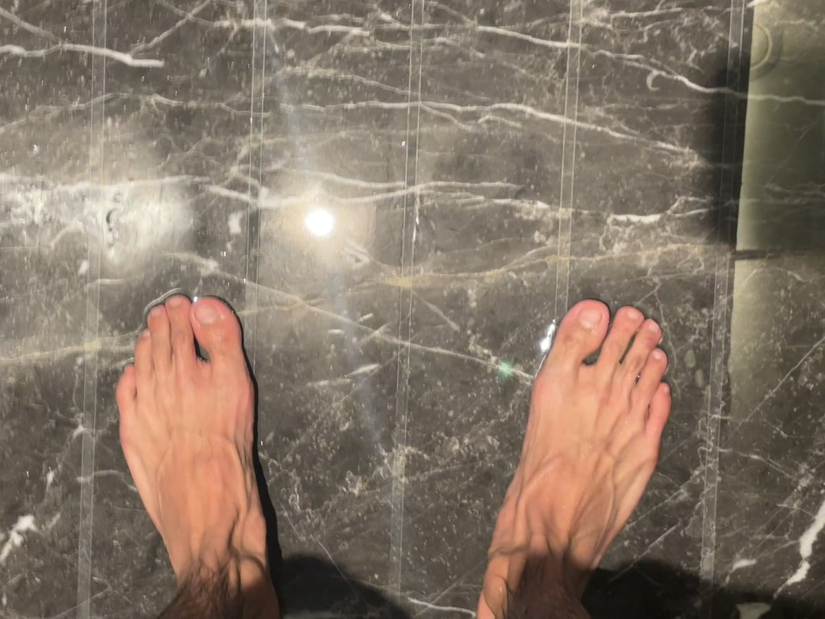 比猫困 tweet media