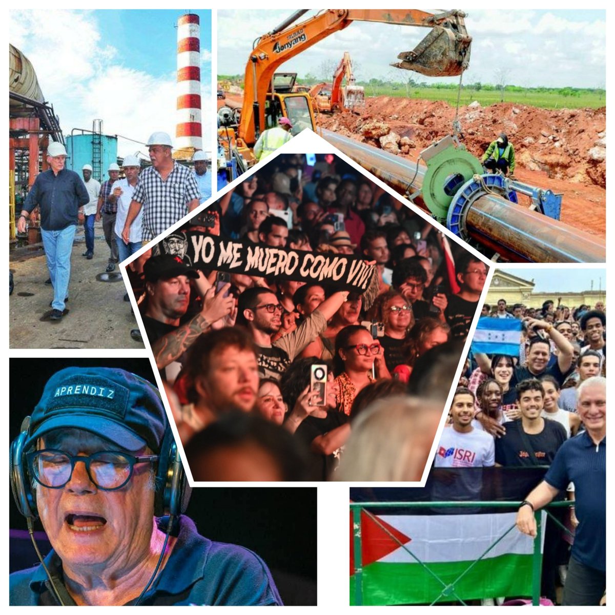 Inés María Chapman Waugh tweet media