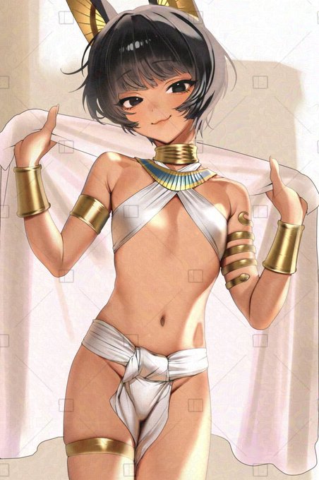 褐色猫耳エジプト性別不明 