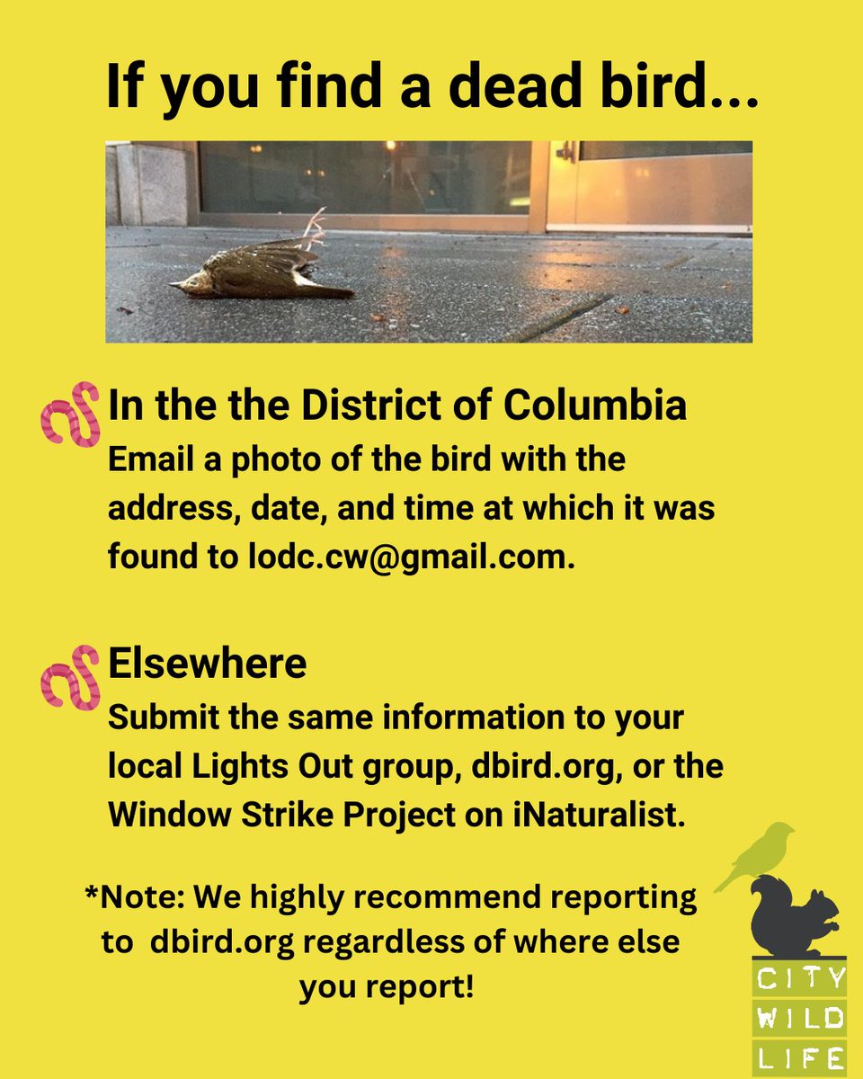 City Wildlife tweet media