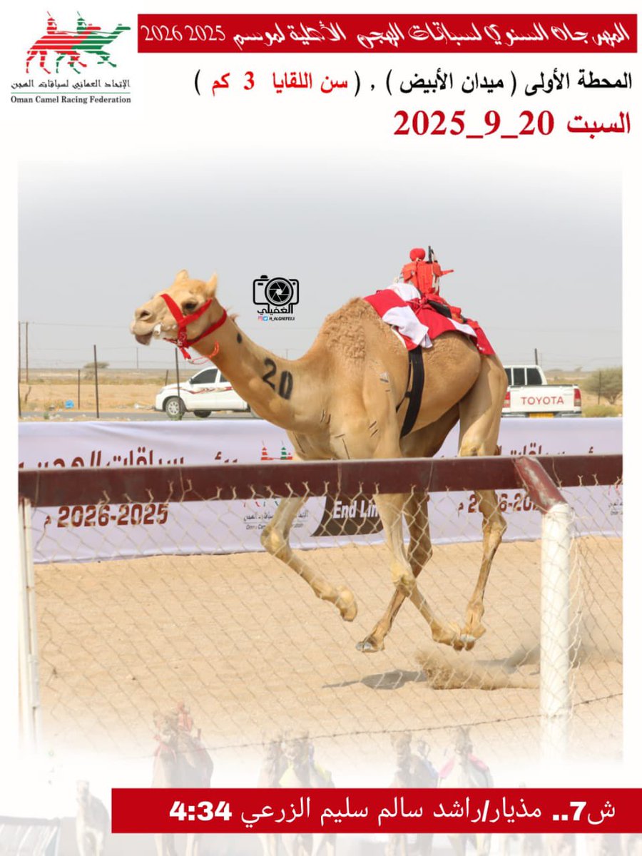 صور الهجن الفائزة بالمركز الأول في المهرجان السنوي لسباقات الهجن الاهلية 2025 المحطة الأولى- ميدان الأبيض سن اللقايا السبت20-9-2025
#ميدان_الابيض 
#منجم_السبق