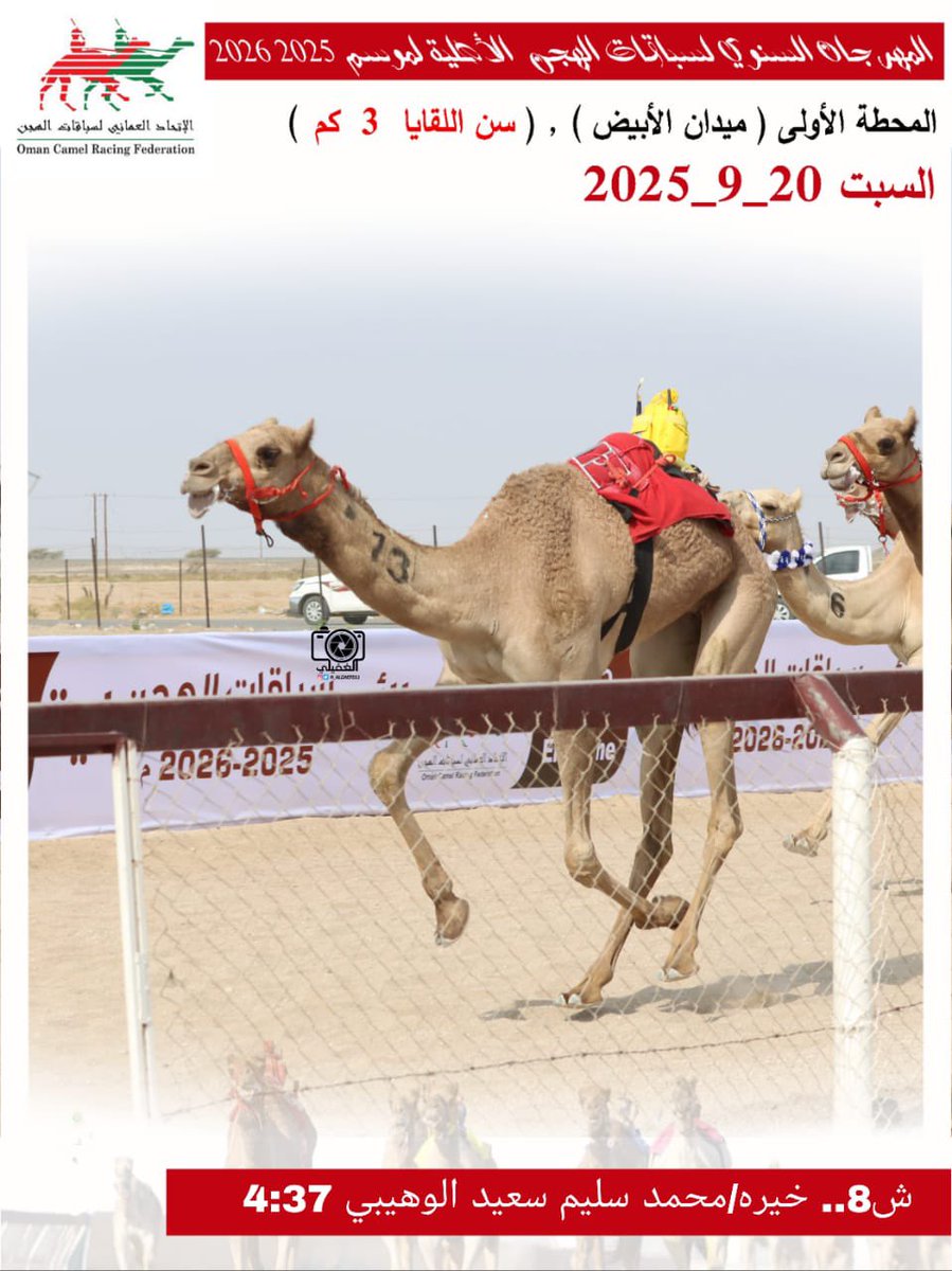 صور الهجن الفائزة بالمركز الأول في المهرجان السنوي لسباقات الهجن الاهلية 2025 المحطة الأولى- ميدان الأبيض سن اللقايا السبت20-9-2025
#ميدان_الابيض 
#منجم_السبق