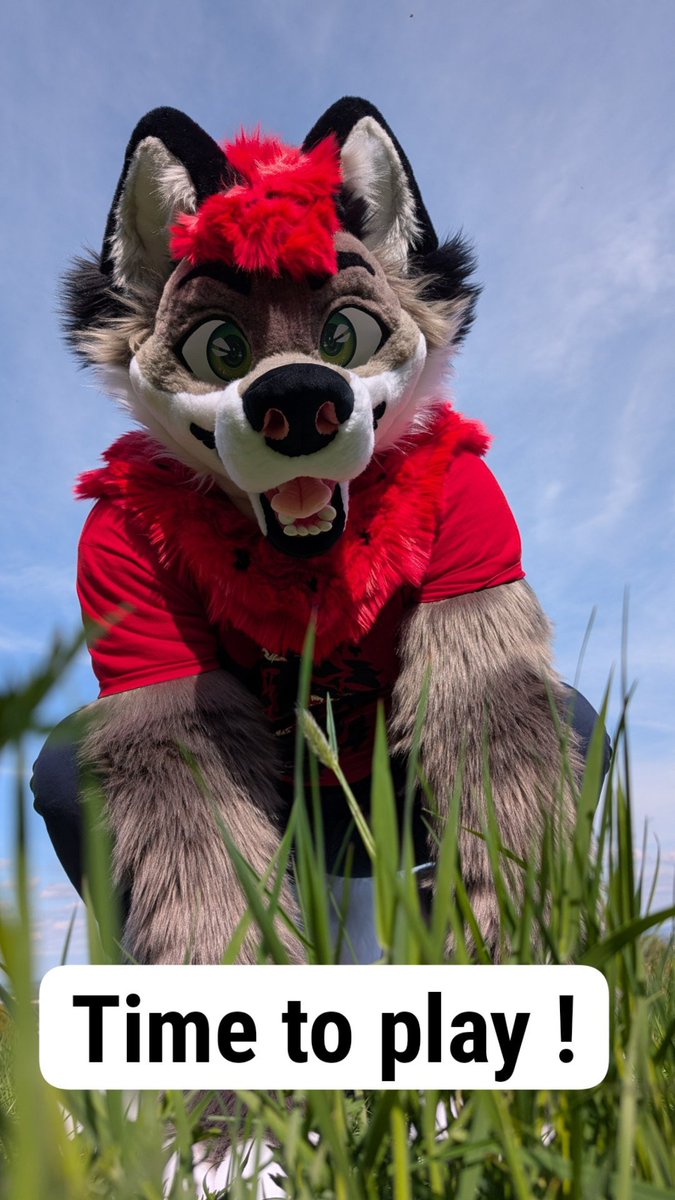 Stream time !

twitch.tv/tiitouffe

#furry #twitch