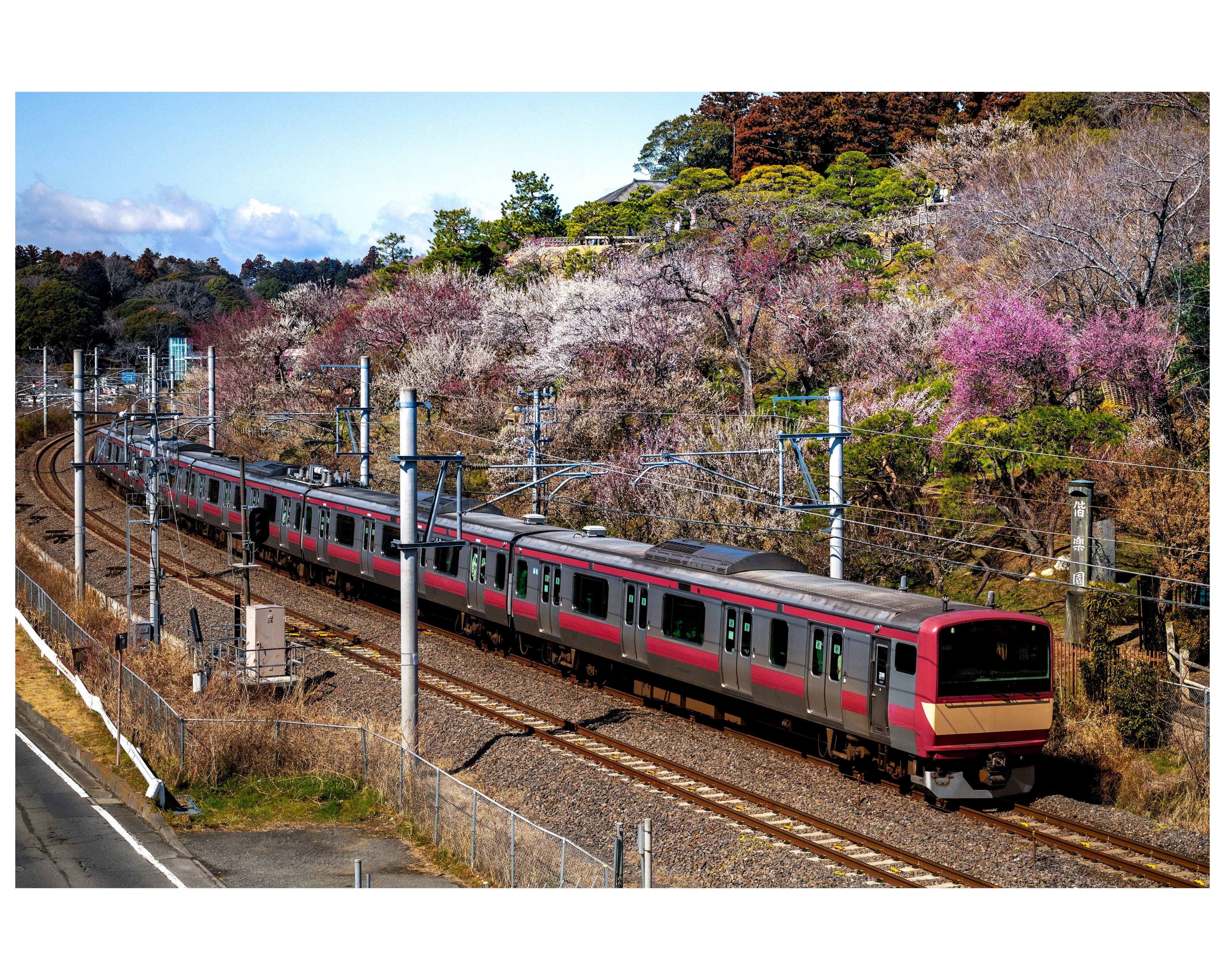 ひまち 🐰まちこ🐰 on X: 