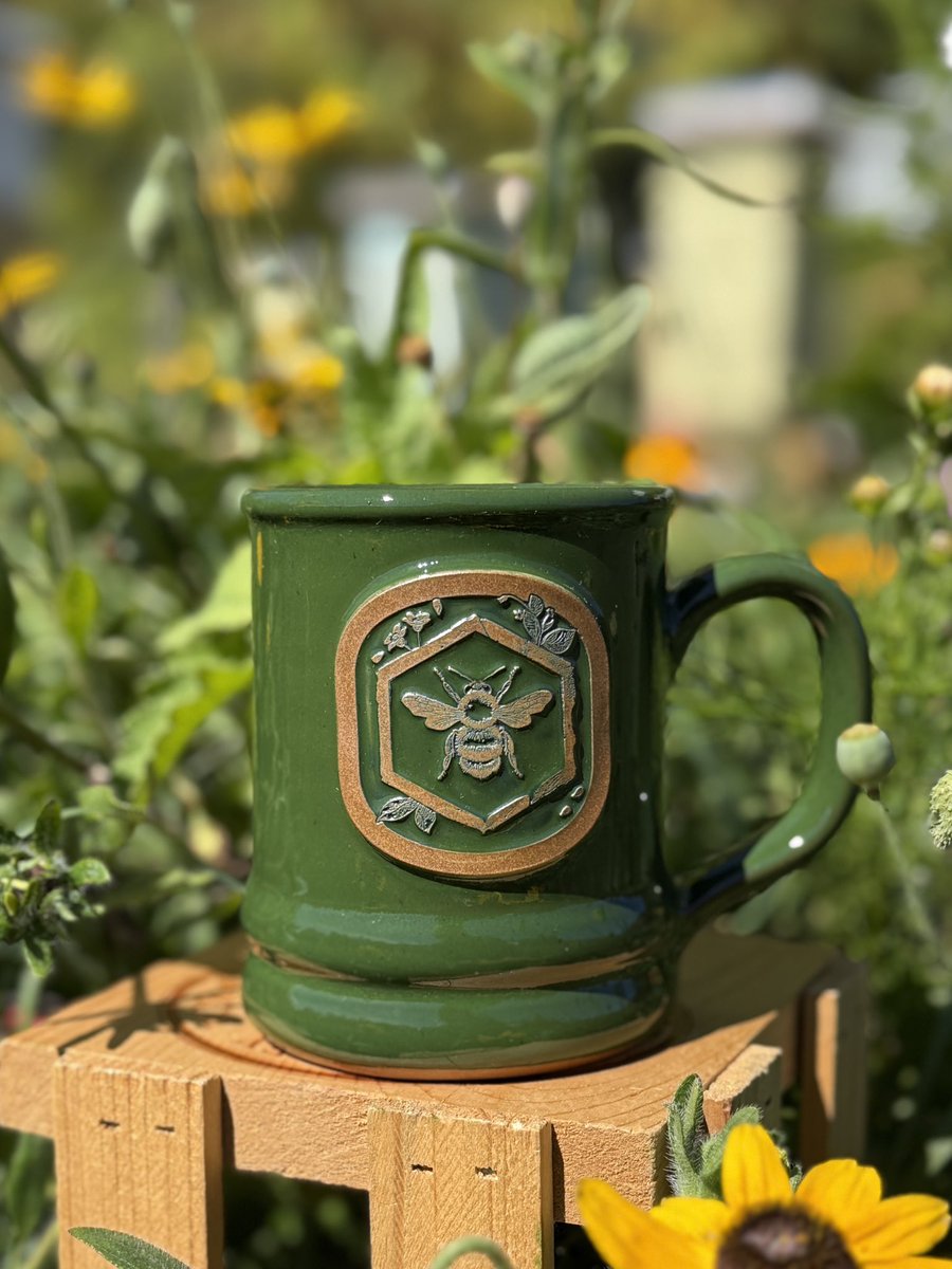 Old Hollow Tree tweet media