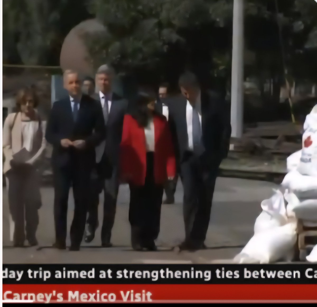 The fake bags weren't even bilingual...