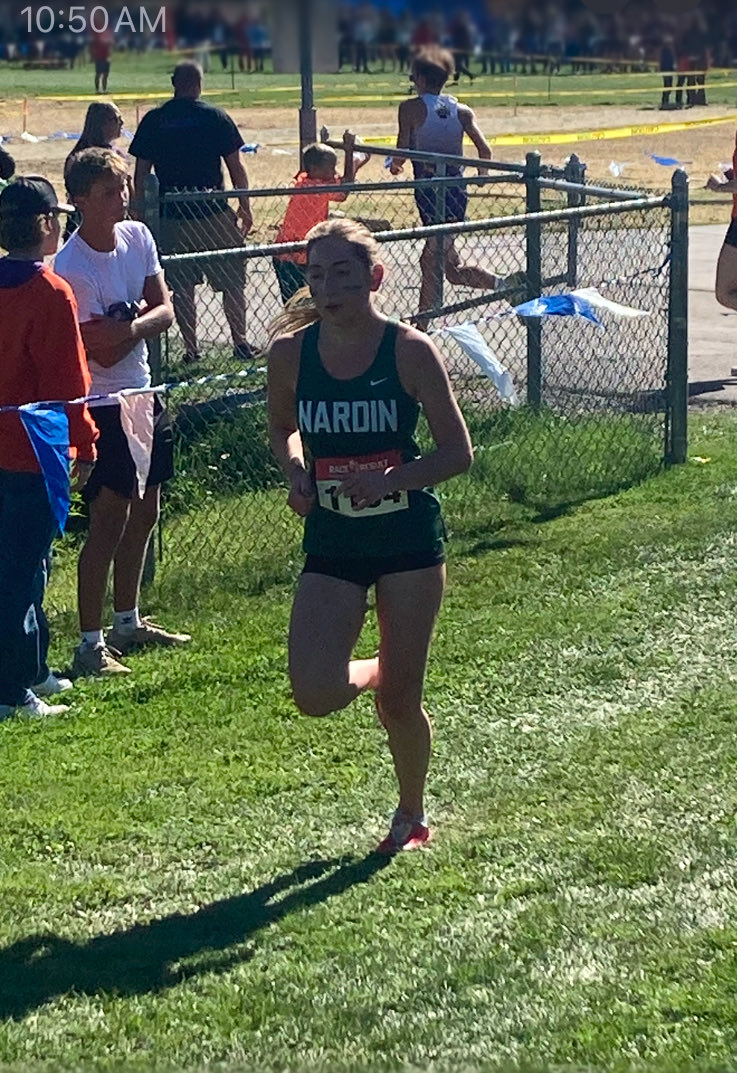 nardinrunning tweet media