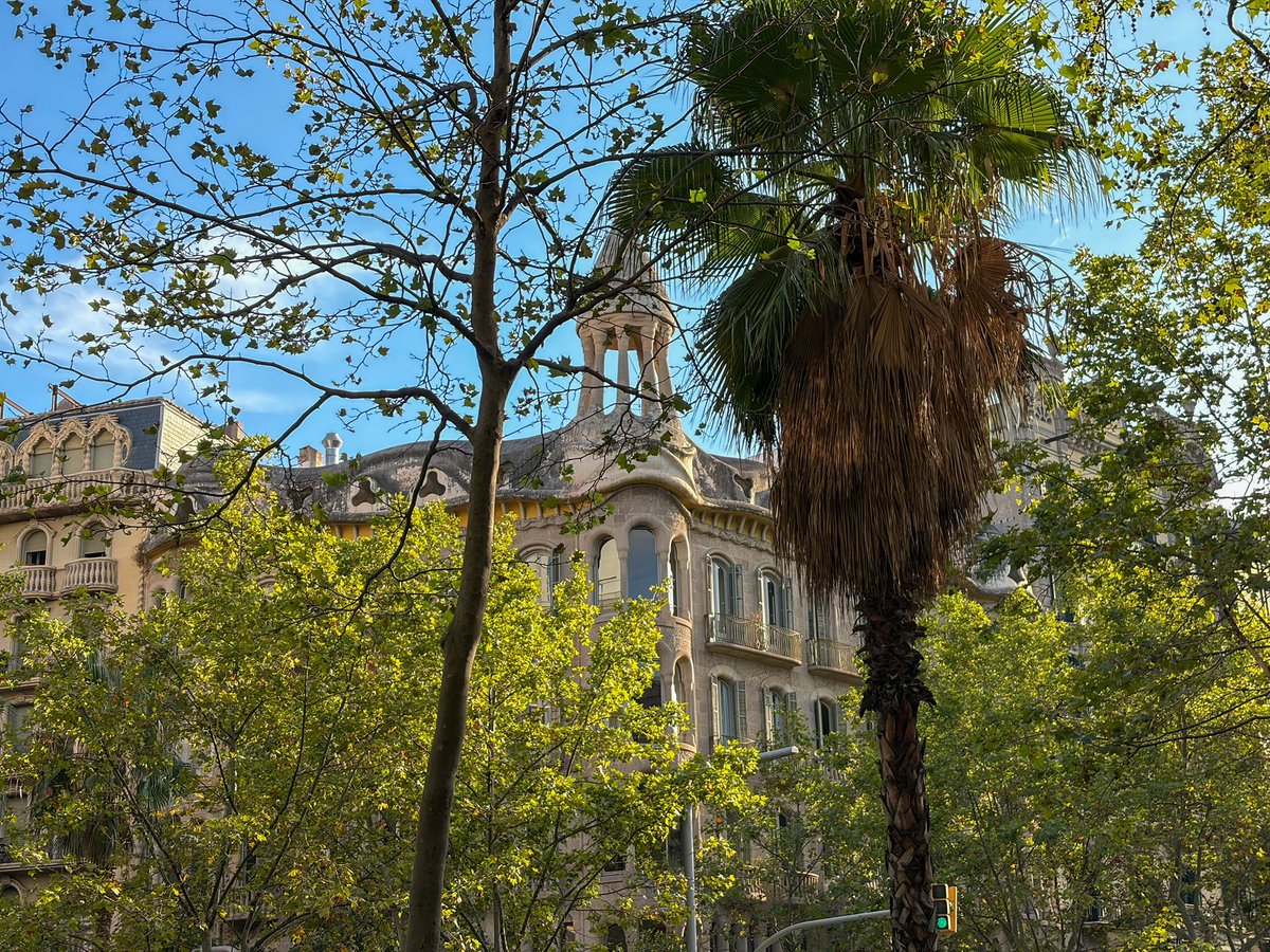 pedroaznar's tweet photo. Esta tarde he salido por Barcelona con el iPhone Air.

Y la cámara ha hecho estas fotos. https://t.co/atesHq36zR