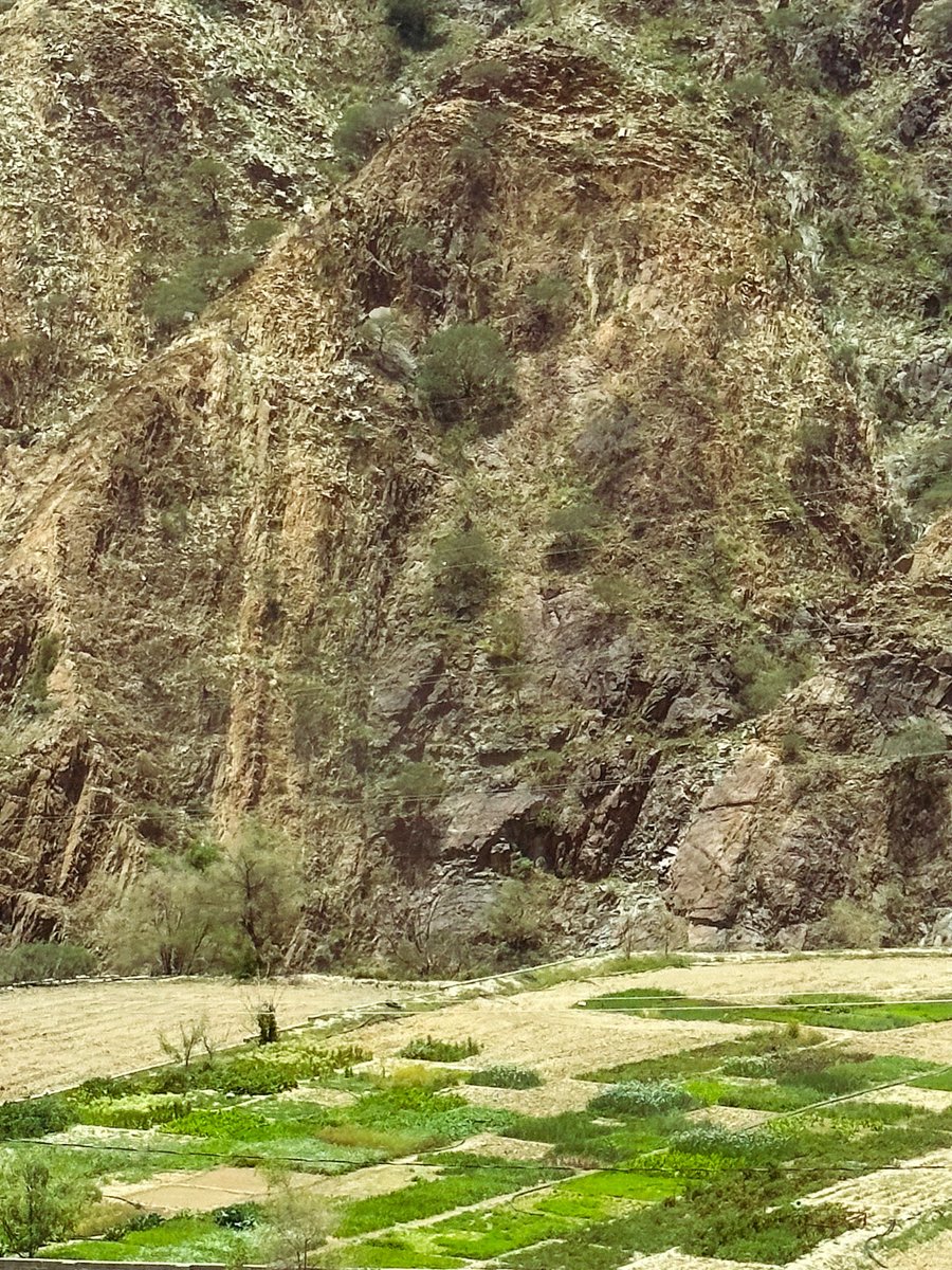 In Khamis Mushait, Saudi Arabia - mountain houses above, farmland stretching below.