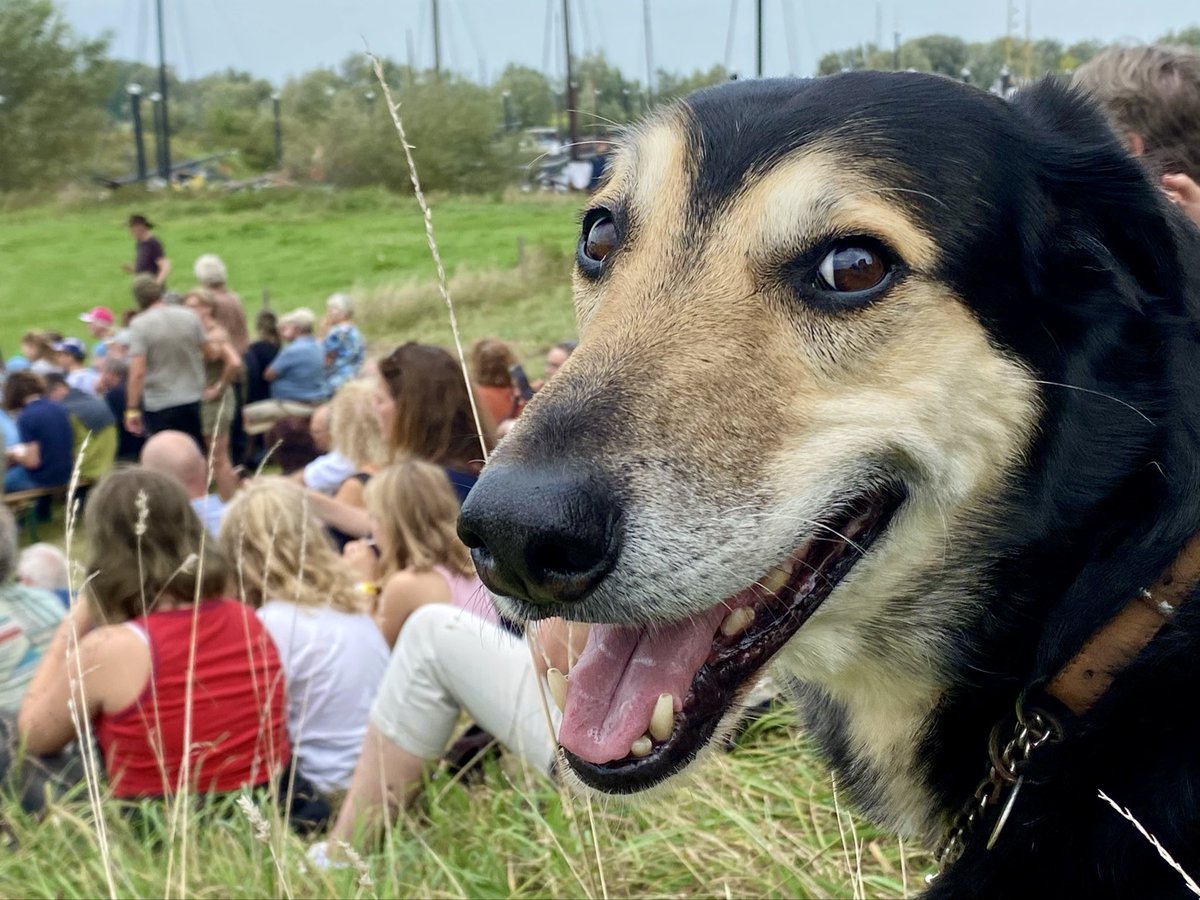 Roelie Waanders tweet media