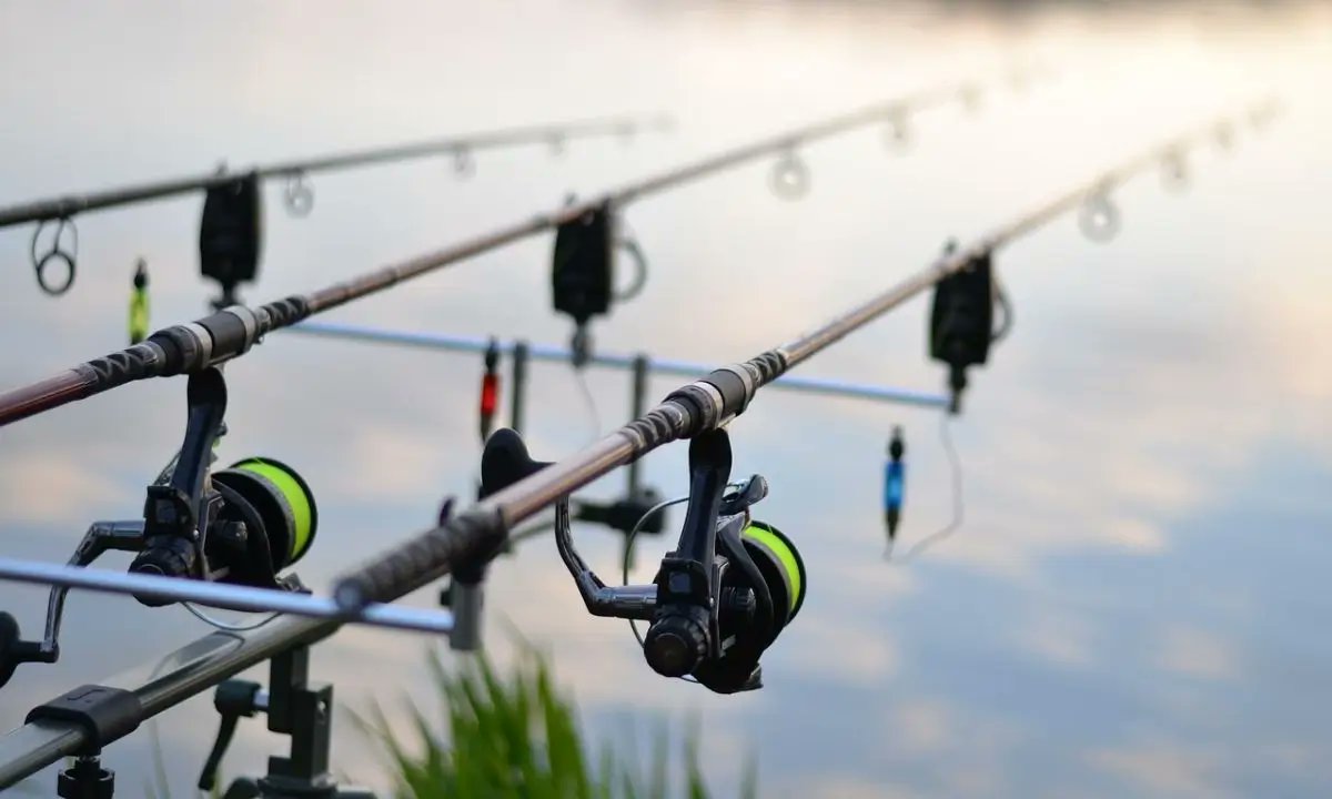 ptofishing44711's tweet image. 🎣 Want fishing rods that last longer?
Follow these pro storage tips in 2025:
✅ Keep rods cool &amp;amp; dry
✅ Use rod racks
✅ Clean before storing

👉 Full guide: profishingbyjihad.com/best-tips-for-…

#FishingTips #FishingGear #RodStorage #ProFishingByJihad