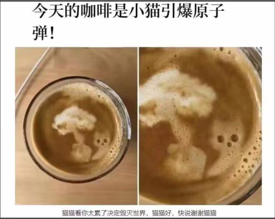 iriyaQWQ's tweet photo. https://t.co/dYxDXFSept