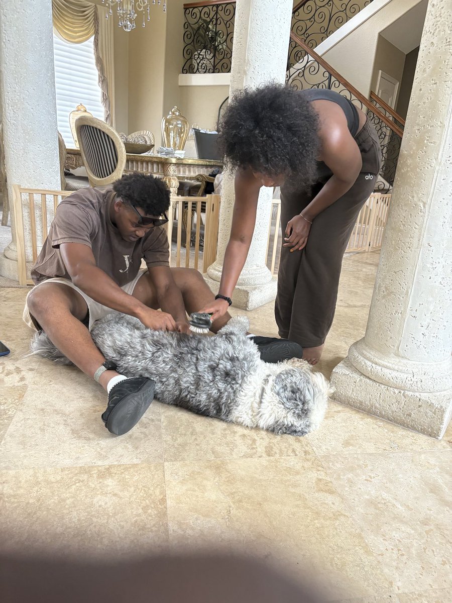 MR BLEU GREEN IS IN DOGGY HEAVEN!!! HIS SISTER AND BROTHER IS PAMPERING HIM TOO HIS EXHAUSTION!!! HE IS A LIL OVERWEIGHT BY EMANI STANDARDS!!! LOL