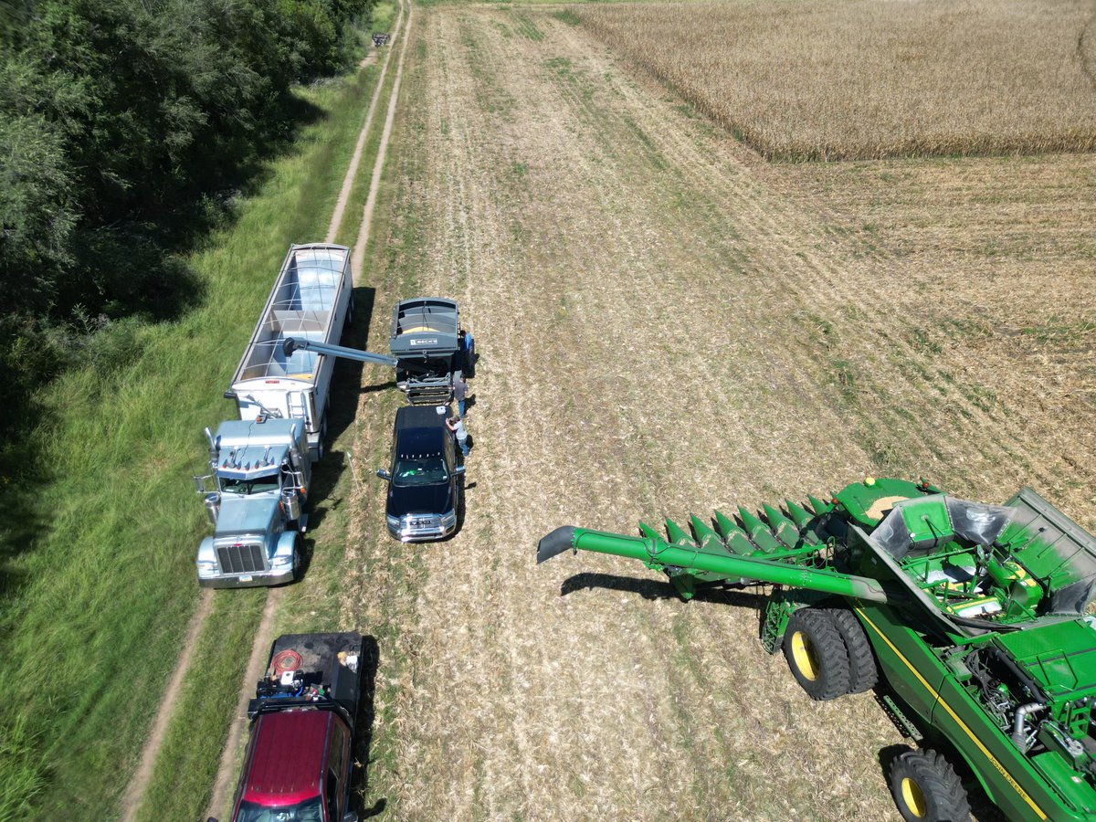 Harvesting a corn plot near Bentley Kansas. <a href="/BecksHybrids/">Beck's Hybrids</a> <a href="/jnev155/">Joseph</a>