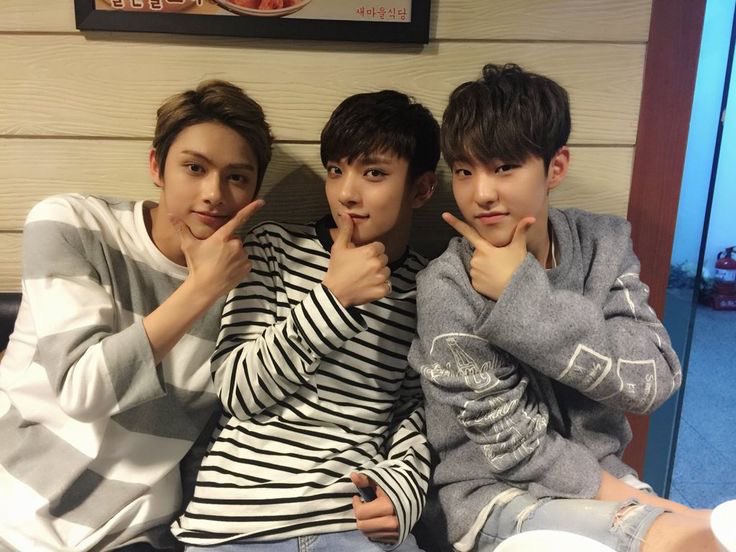 svt archive tweet media
