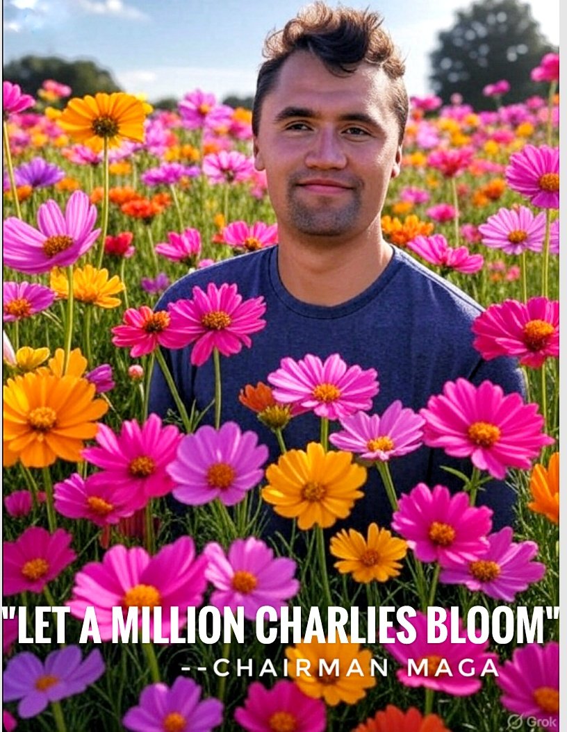 Ts Melis LauraTwittershemaleboldexpression