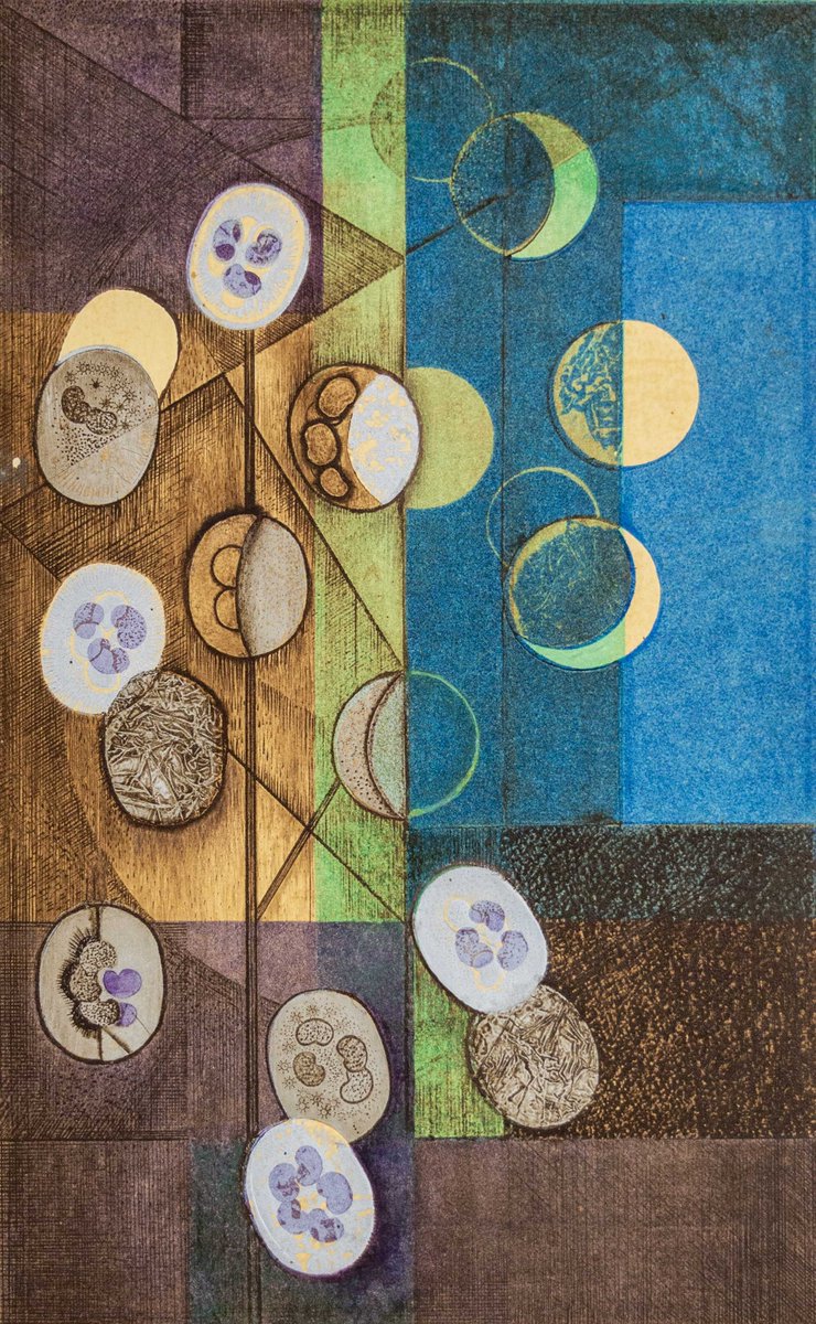 marysia_cc's tweet image. Lunaria
by Eileen Mayo