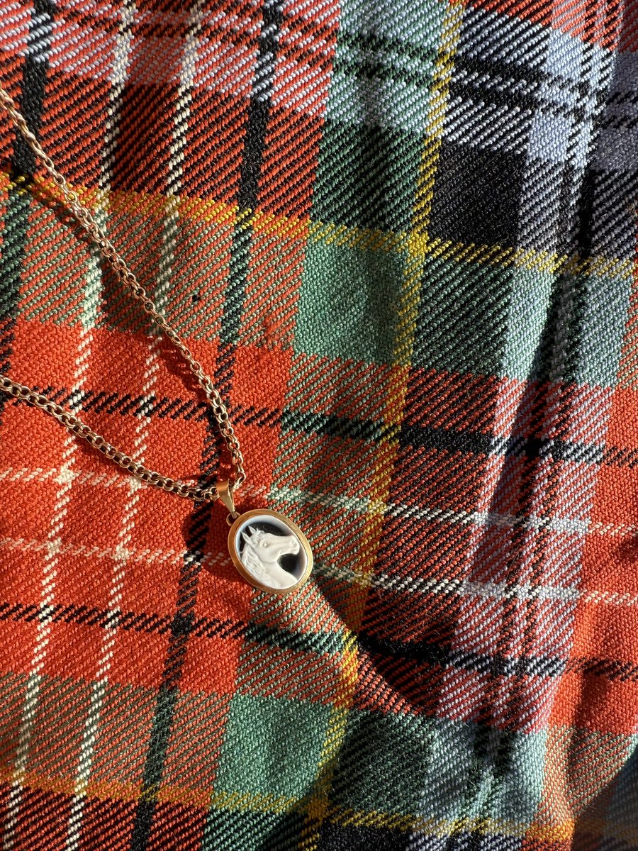 hennool's tweet image. Lavender linen on family tartan. 

We bask our bodies and our clothes in sunlight energy so we can be thoroughly infused with more radiance. 

As a family we enjoy indian summer picnics on the daily and the spirit of the horse fills my soul.