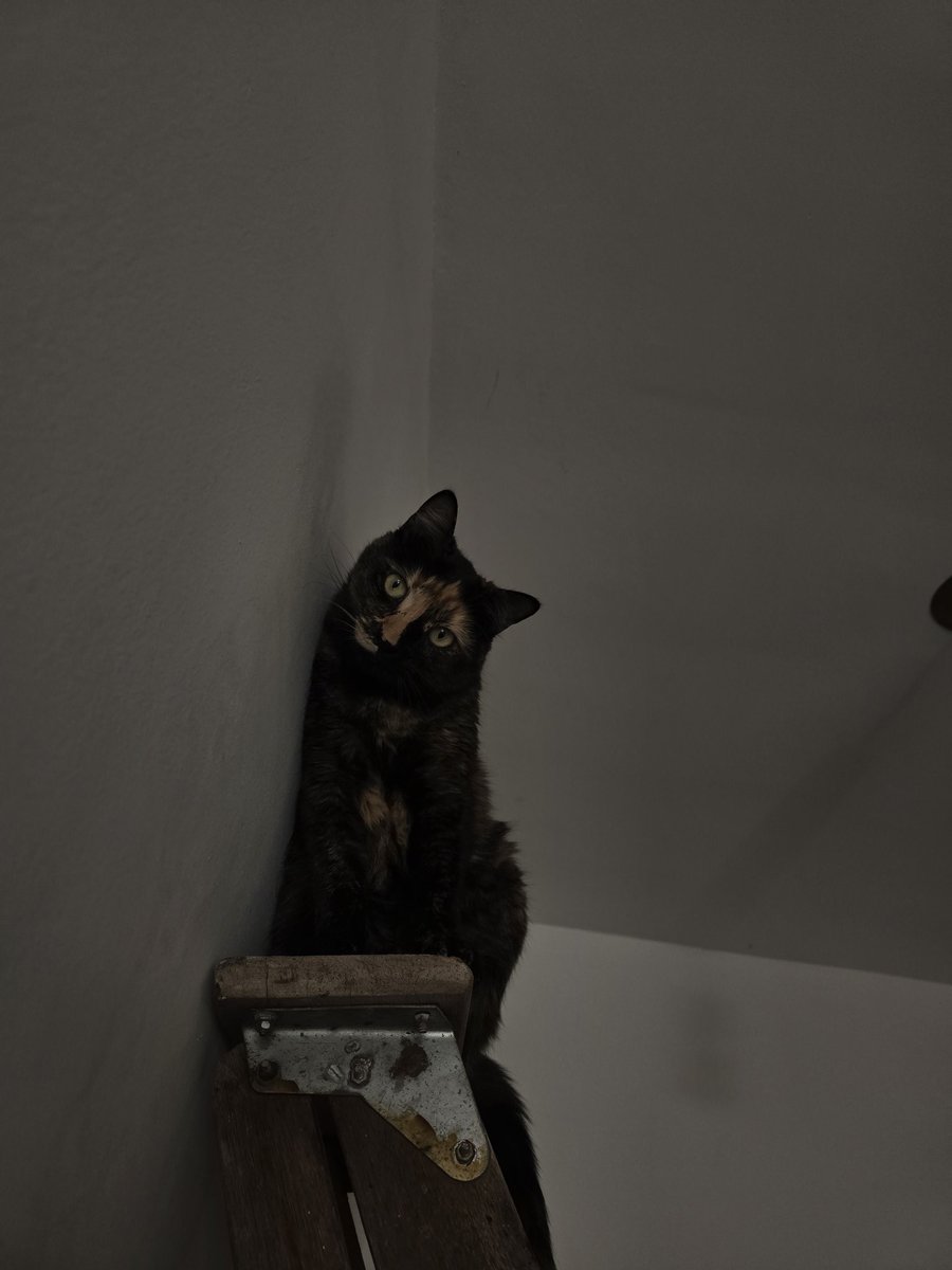 SCCP_emo's tweet image. Minha batman