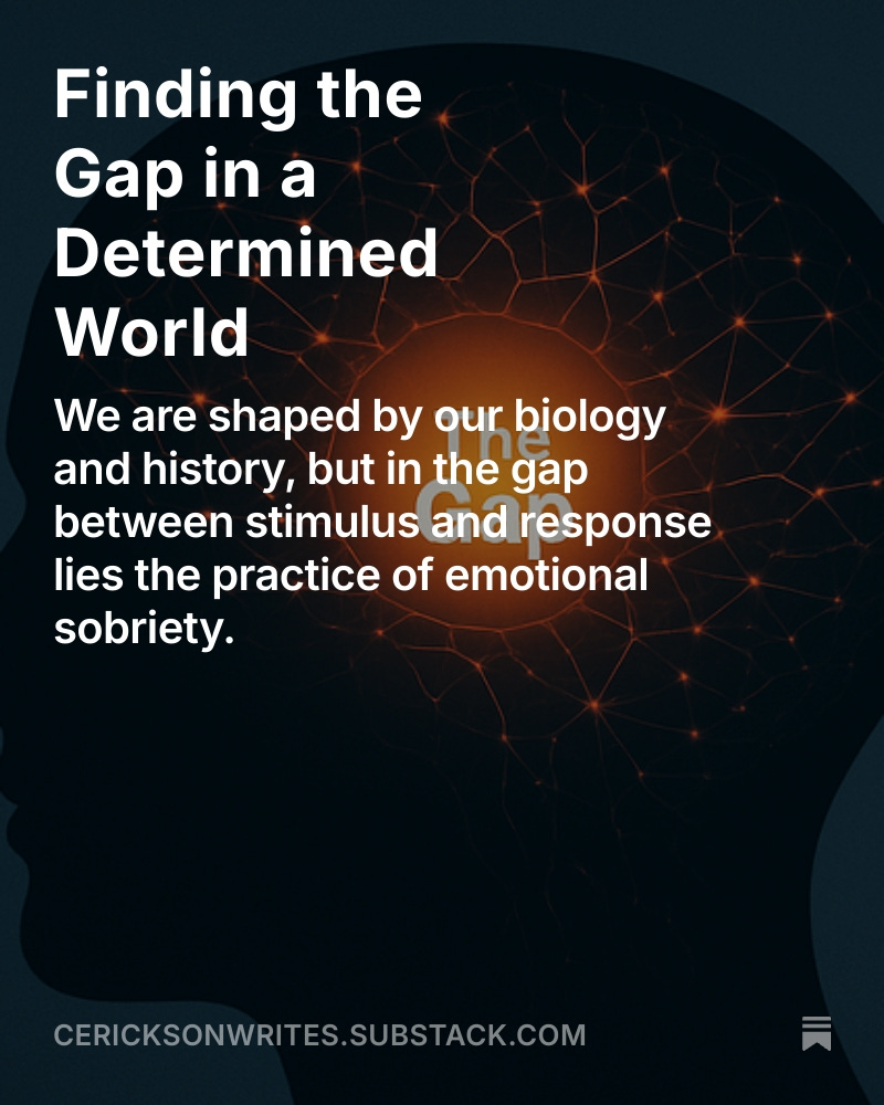 cericksonwrite's tweet image. 