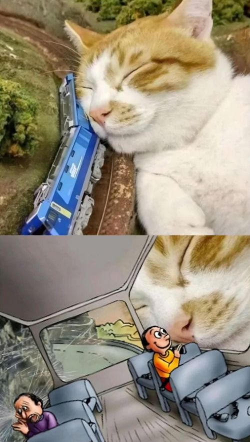 memes_horriveis's tweet photo. https://t.co/A7EYvAZBJb