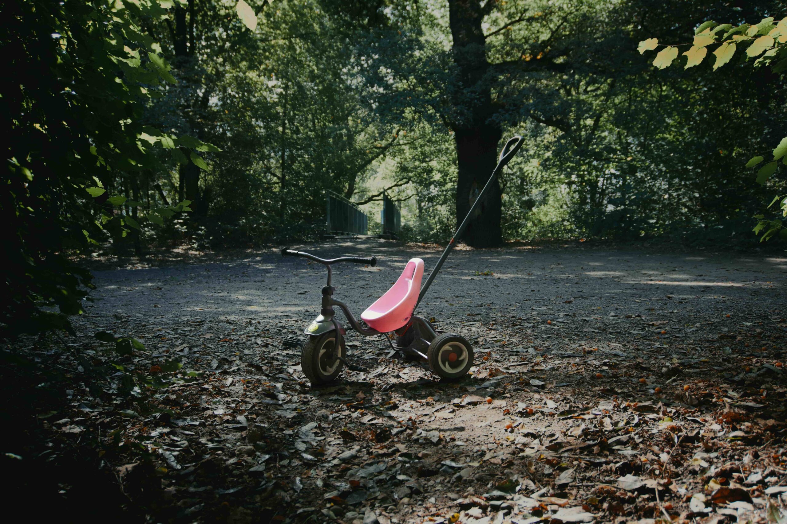 112Nederland on X: "7-jarig kind verkracht door 14-jarige jongen in  speeltuin, beiden uit azc https://t.co/Q85JcbNnjD https://t.co/H1QP7DgAtX"  / X