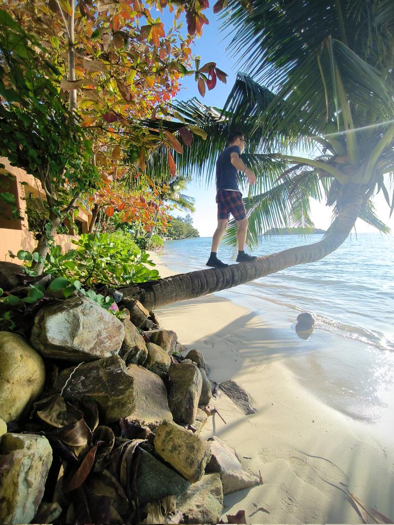 Never stop exploring ... 👣

Sveži mango za zajtrk, sveži kokos pod palmo, pad thai za kosilo, koktejl da se kosilo splahne, smuti da se zdrži do večerje, pad kra pao in mango sticky rice za večerjo, pivce ali dva za lažji spanec ... 🇹🇭

Kako pa zgleda vaš dan? ✨