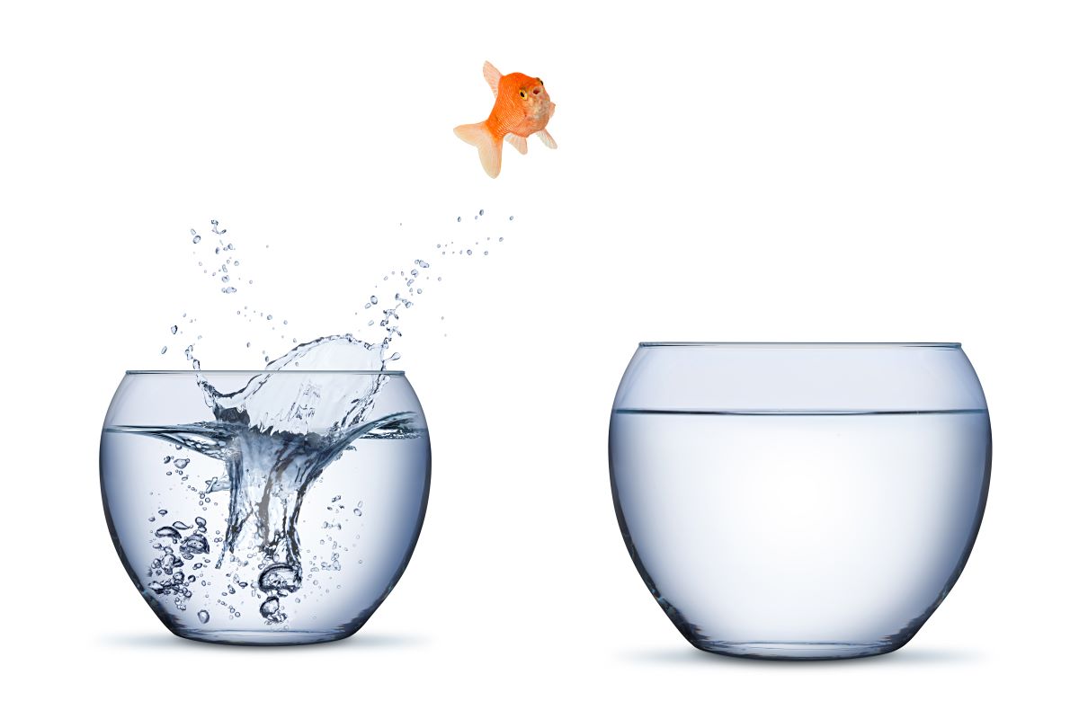 JCPinPlymouth's tweet image. If you are struggling to find a new job have you considered working in a different sector?
Learn more about transferable skills here: ow.ly/CL4s50WlChM
Find out which sectors are recruiting and the skills needed here: ow.ly/ecxg50WlChL
#Jobhelp