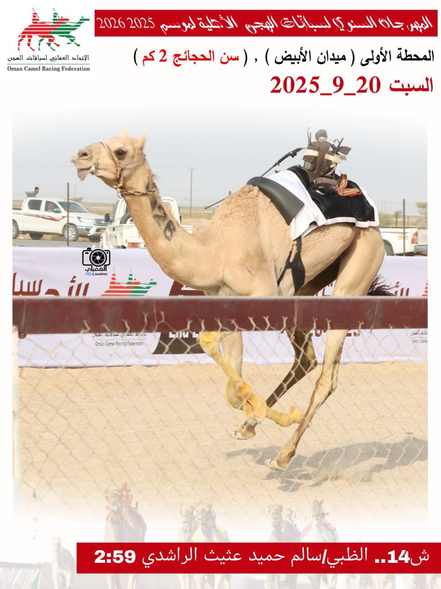 صور الهجن الفائزة بالمركز الأول في المهرجان السنوي لسباقات الهجن الاهلية 2025 المحطة الأولى- ميدان الأبيض سن الحجائج السبت20-9-2025
#ميدان_الابيض 
#منجم_السبق