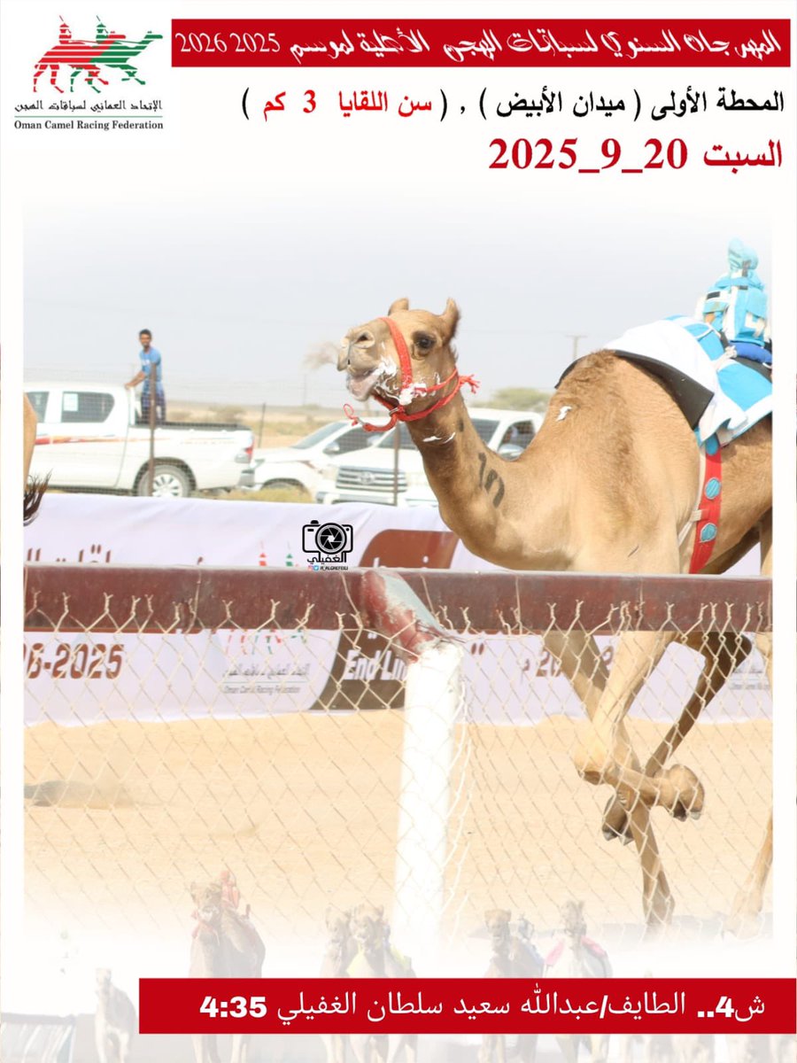 صور الهجن الفائزة بالمركز الأول في المهرجان السنوي لسباقات الهجن الاهلية 2025 المحطة الأولى- ميدان الأبيض سن اللقايا السبت20-9-2025
#ميدان_الابيض 
#منجم_السبق