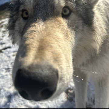 Why the long face, man?