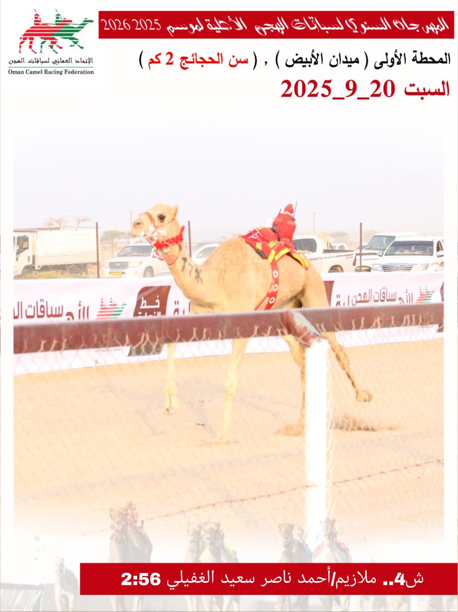 صور الهجن الفائزة بالمركز الأول في المهرجان السنوي لسباقات الهجن الاهلية 2025 المحطة الأولى- ميدان الأبيض سن الحجائج السبت20-9-2025
#ميدان_الابيض 
#منجم_السبق