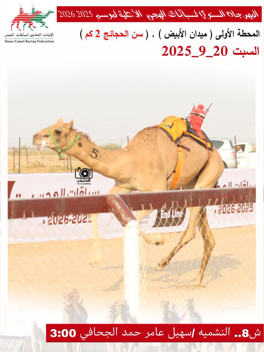 صور الهجن الفائزة بالمركز الأول في المهرجان السنوي لسباقات الهجن الاهلية 2025 المحطة الأولى- ميدان الأبيض سن الحجائج السبت20-9-2025
#ميدان_الابيض 
#منجم_السبق