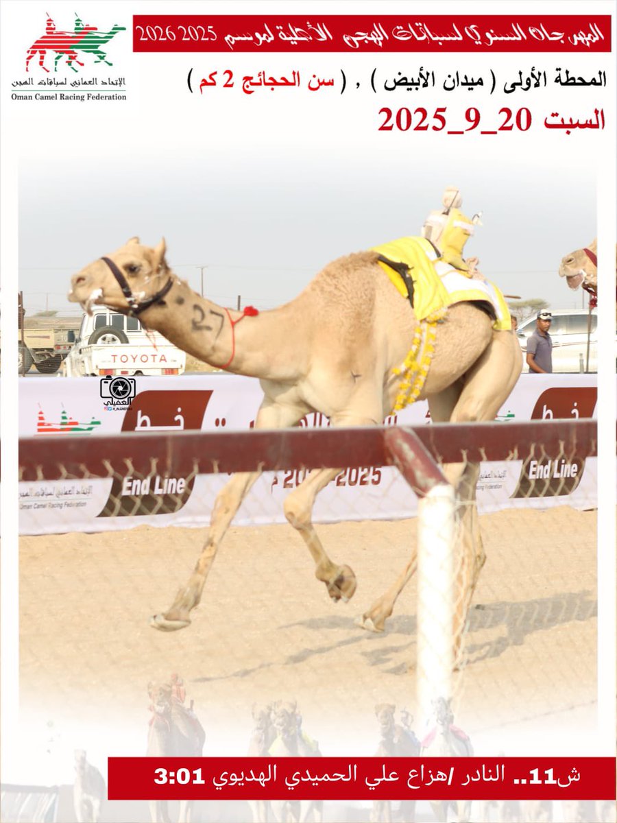 صور الهجن الفائزة بالمركز الأول في المهرجان السنوي لسباقات الهجن الاهلية 2025 المحطة الأولى- ميدان الأبيض سن الحجائج السبت20-9-2025
#ميدان_الابيض 
#منجم_السبق