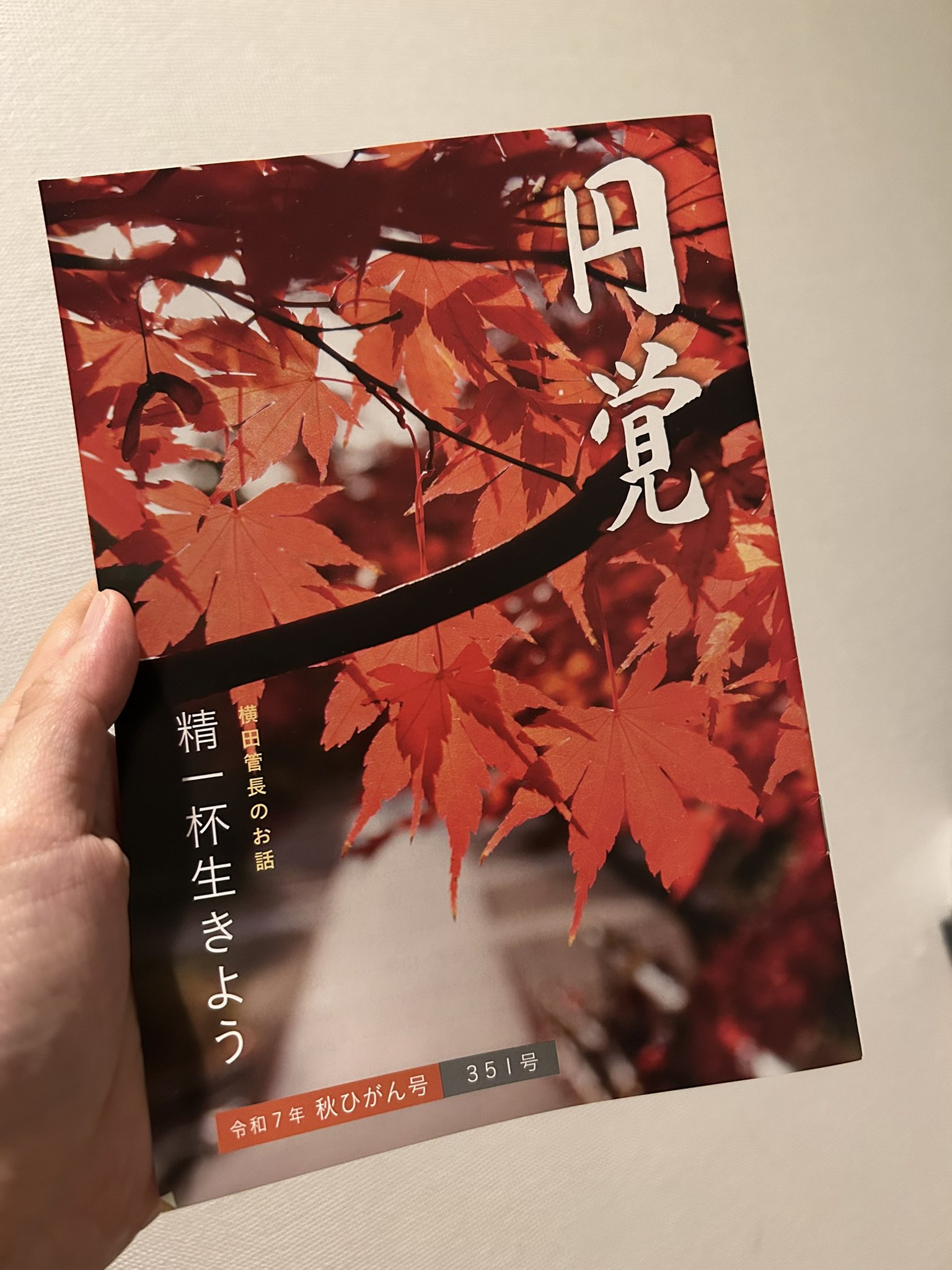 魔女のトレーニング 魔女の家BOOKS 高等魔術 魔女術大系 魔女のトレーニング 魔女の家BOOKS 高等魔術 魔女術大系 Amazon