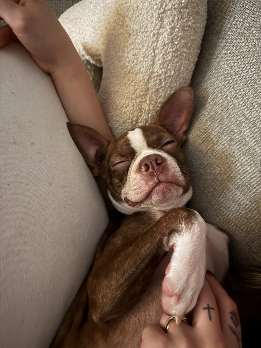 Goodmorning.

Who else slept like this last night? I know I for sure did.