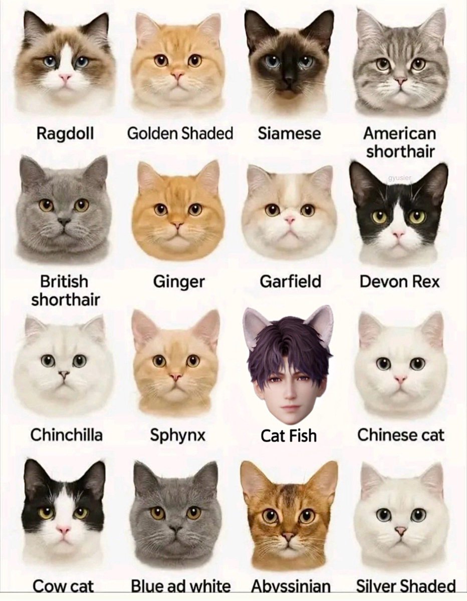 there is an impostor among us…