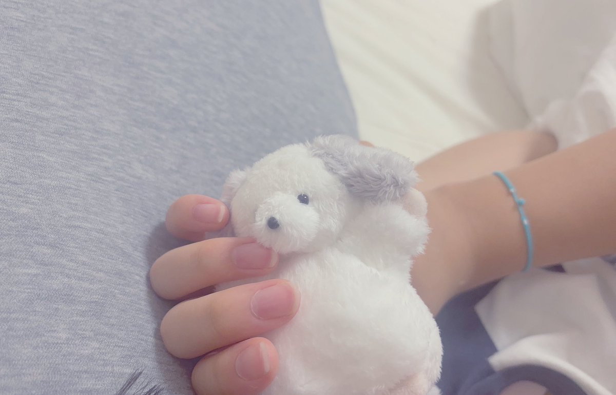Osatou_roomQ's tweet photo. (ᐡっ ̯ -ᐡ)𓈒𓂂
#みんなのおもちゃばこ https://t.co/6Q9NdpJ6mr