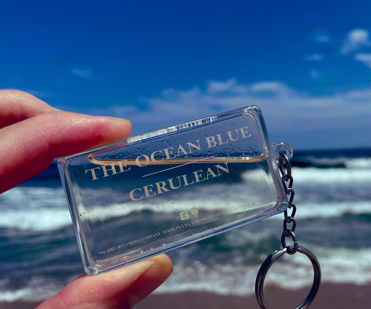 THE OCEAN BLUE tweet media