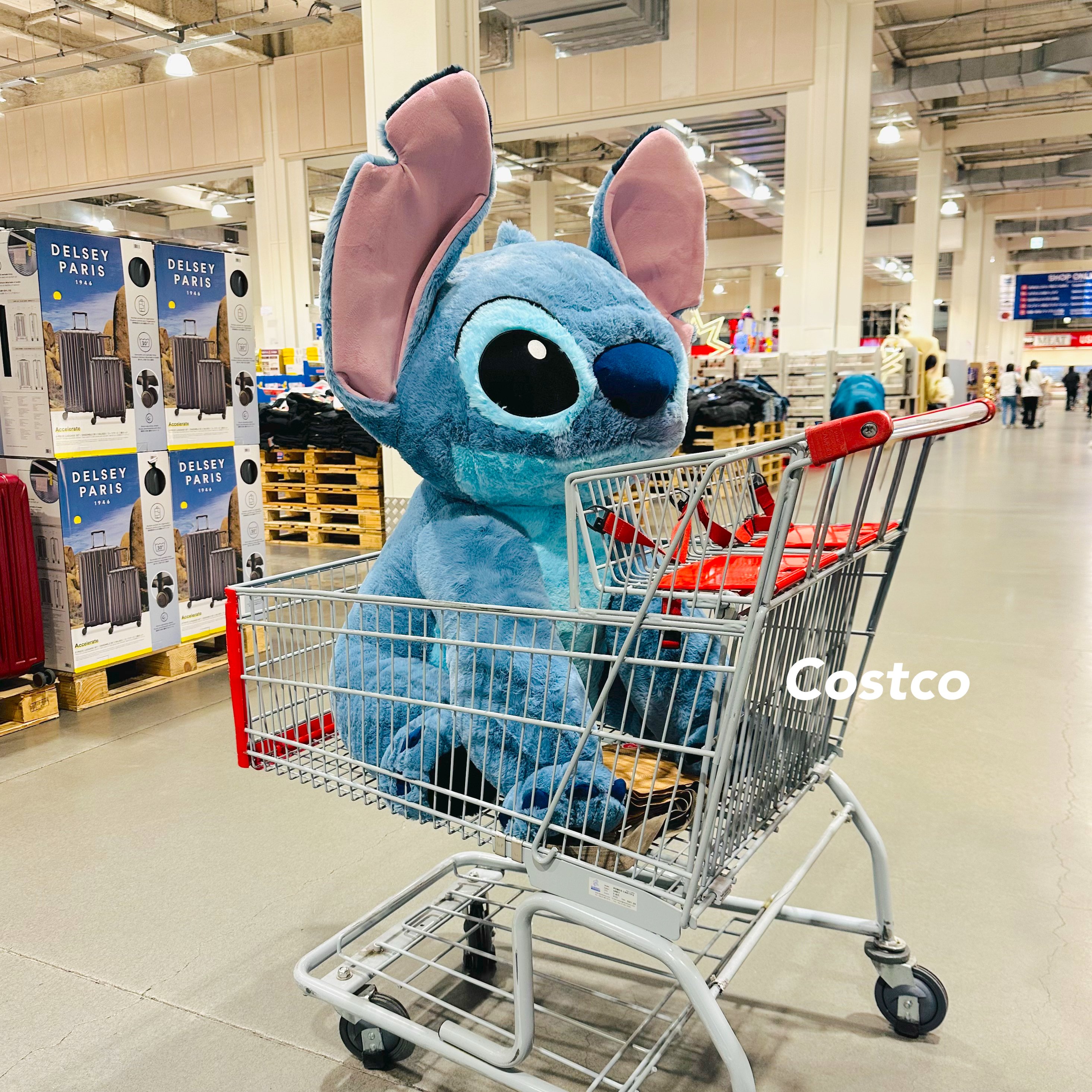 ①　スティッチ LILO STITCH – ROBOTROBOT