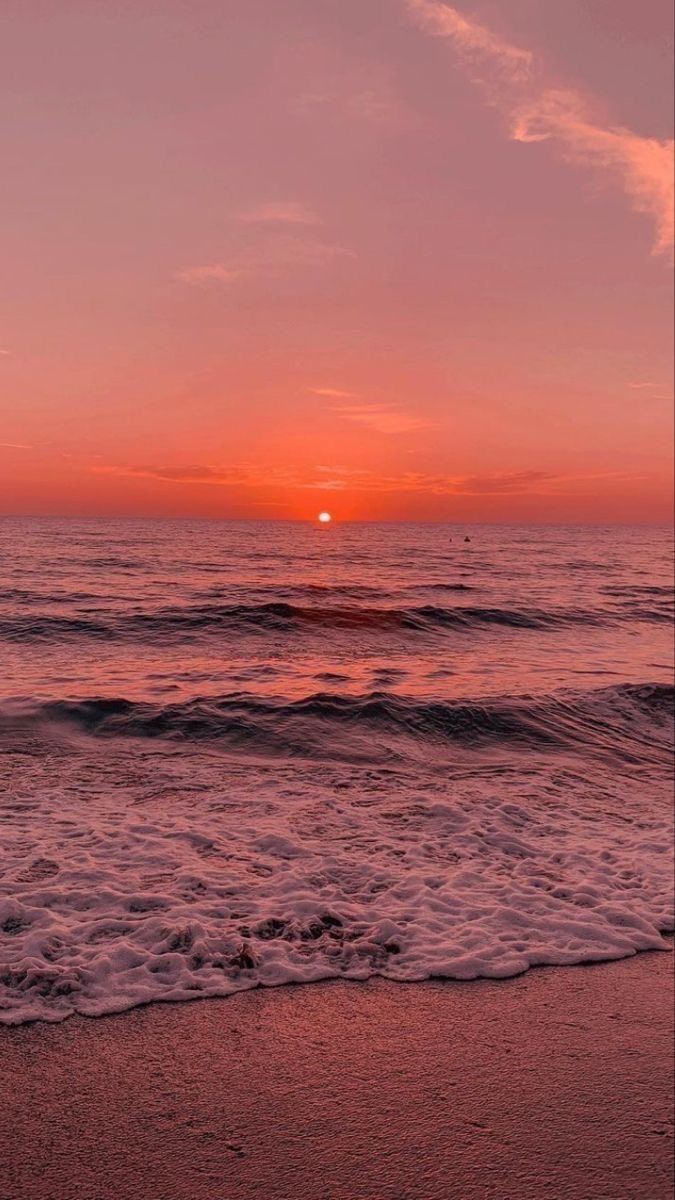 aestheticspost_'s tweet photo. sunset https://t.co/WyircMVw2i